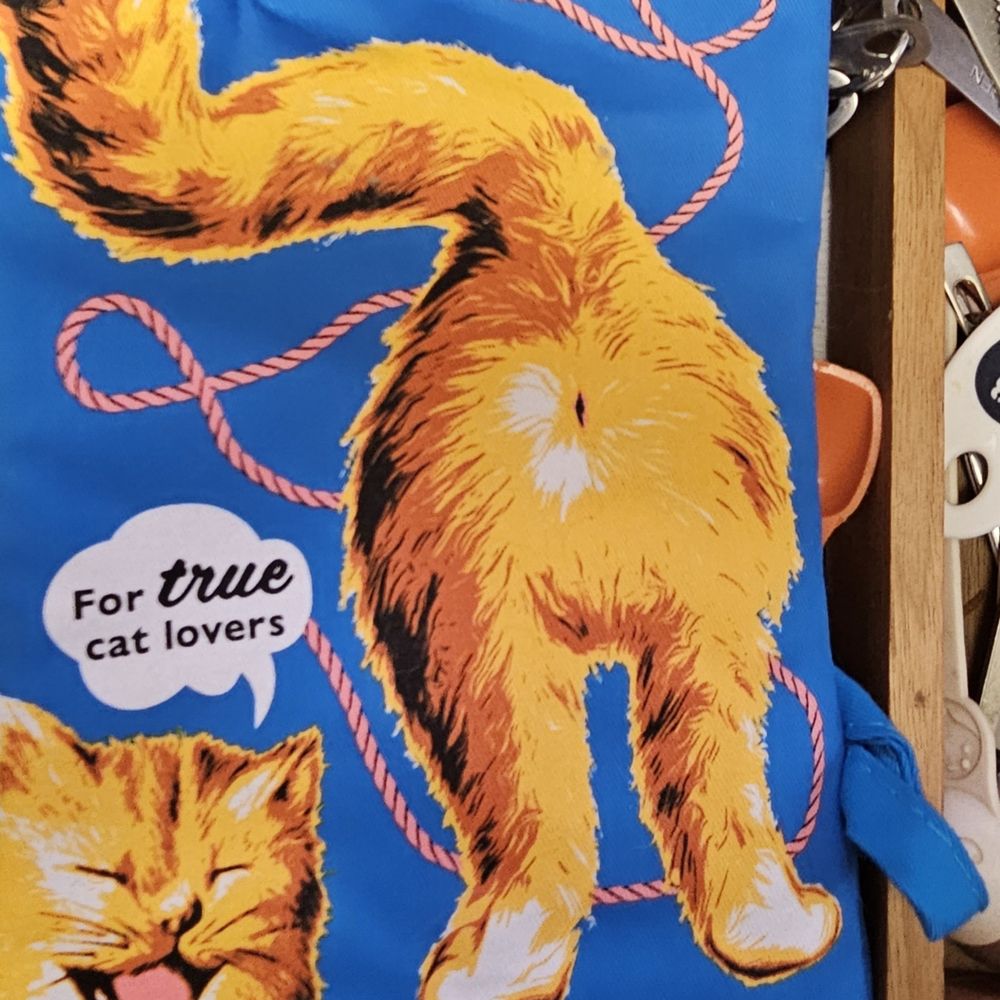 I Am Not A Cat