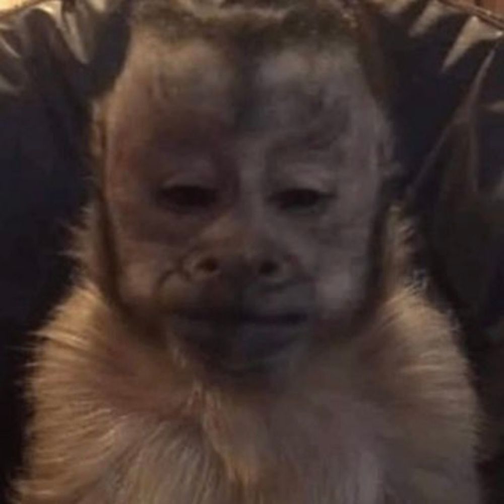 𝖌𝖉𝖆𝖑𝖎𝖆