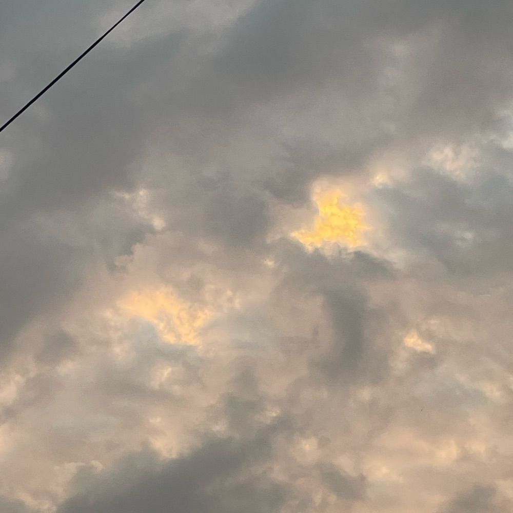 Cherub•|•MDNI