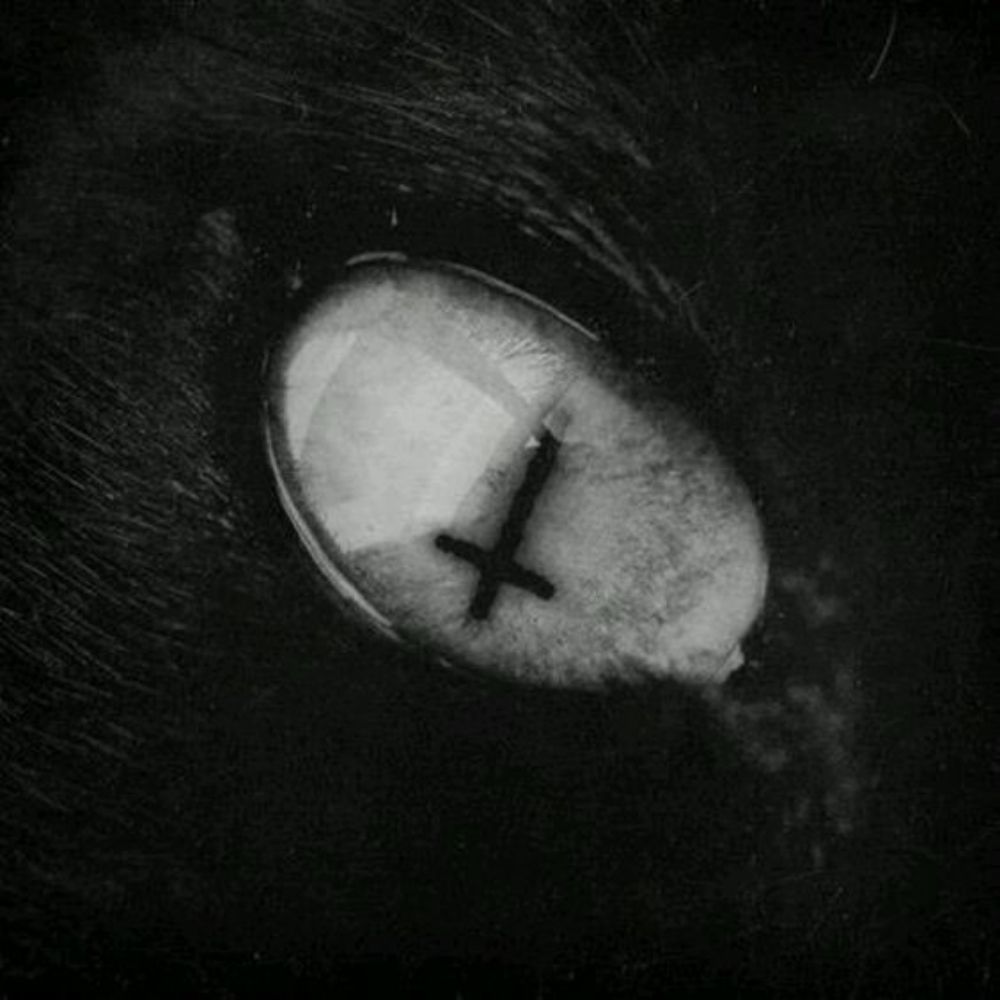 ⛧