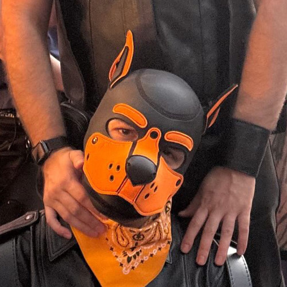 Pup Eros