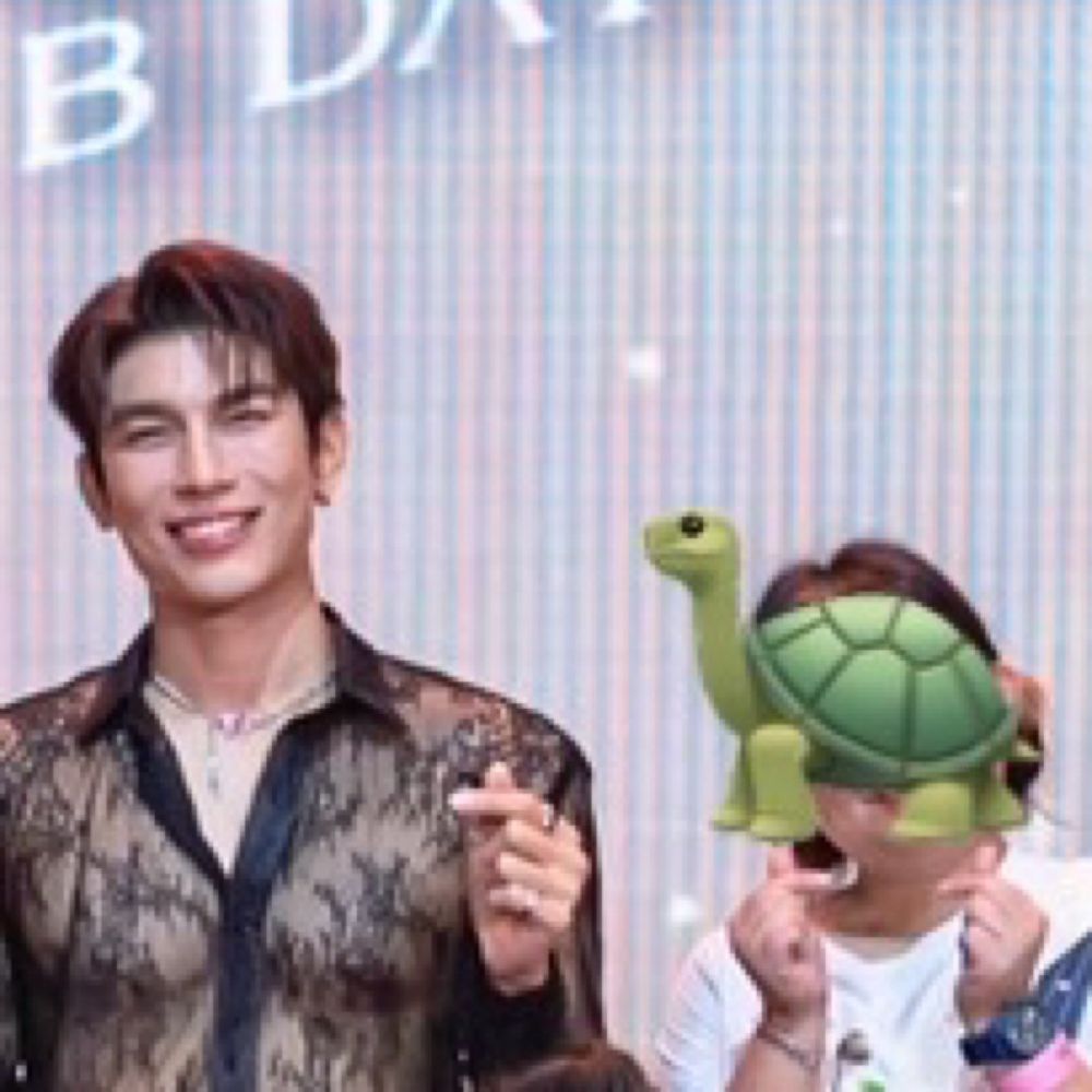 ต.เต่า 🐢