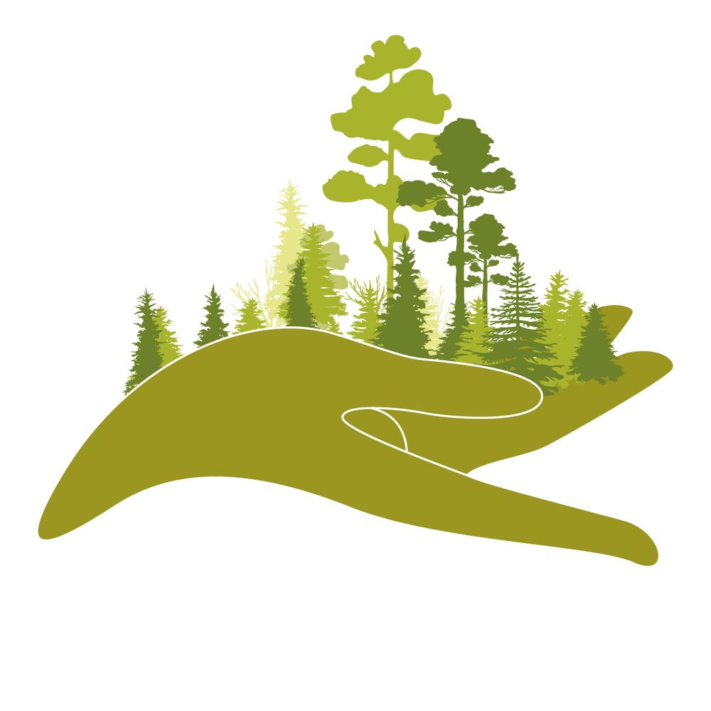Semeurs de Forêts