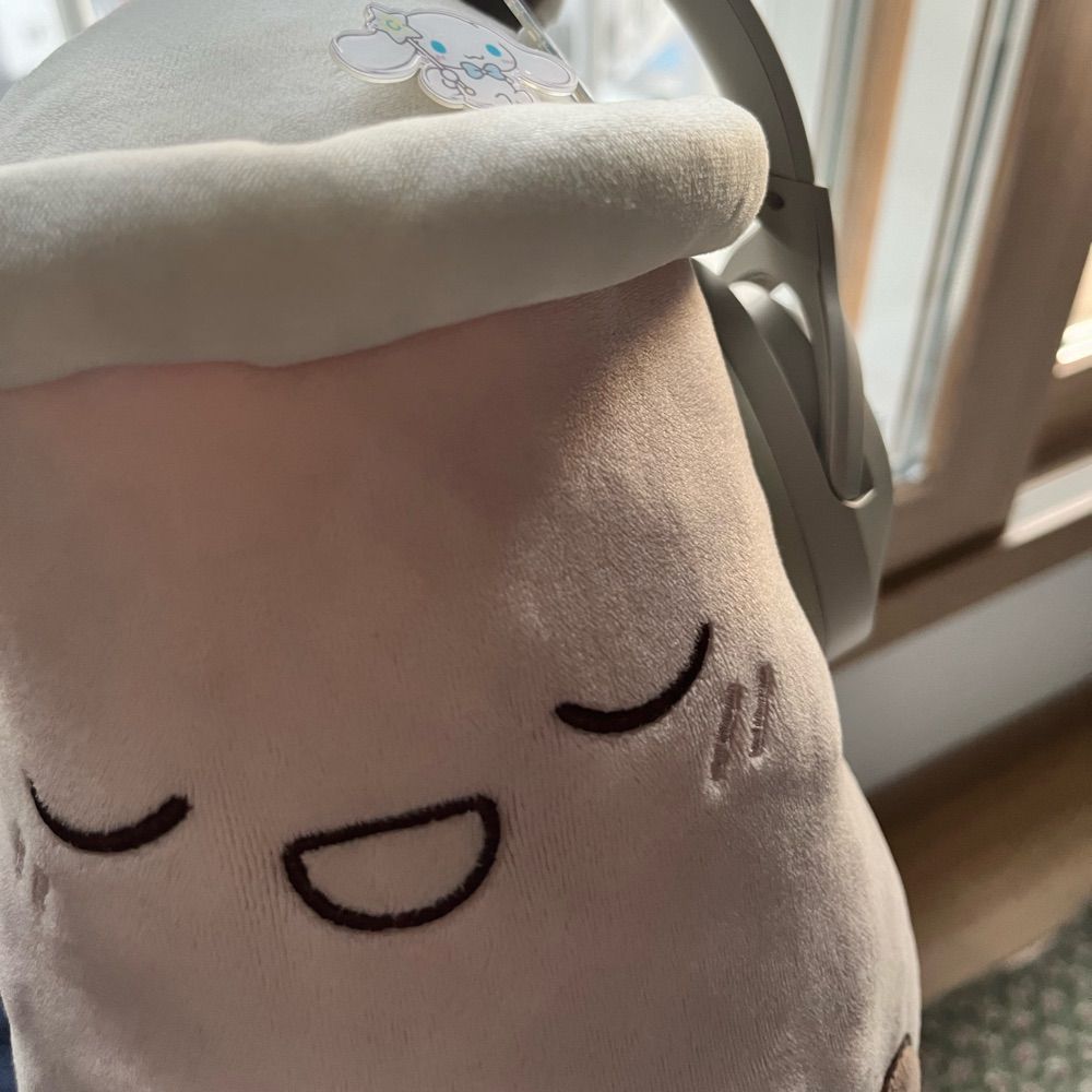 표안