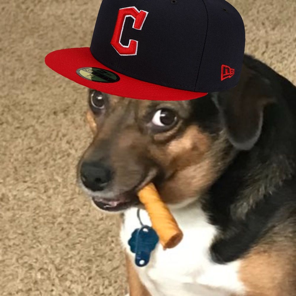 Matt
