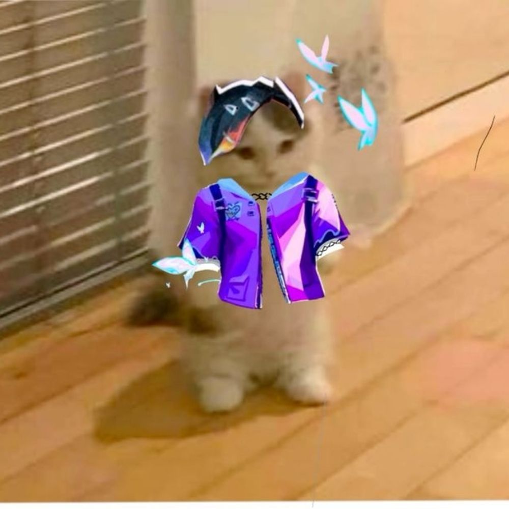brunooos