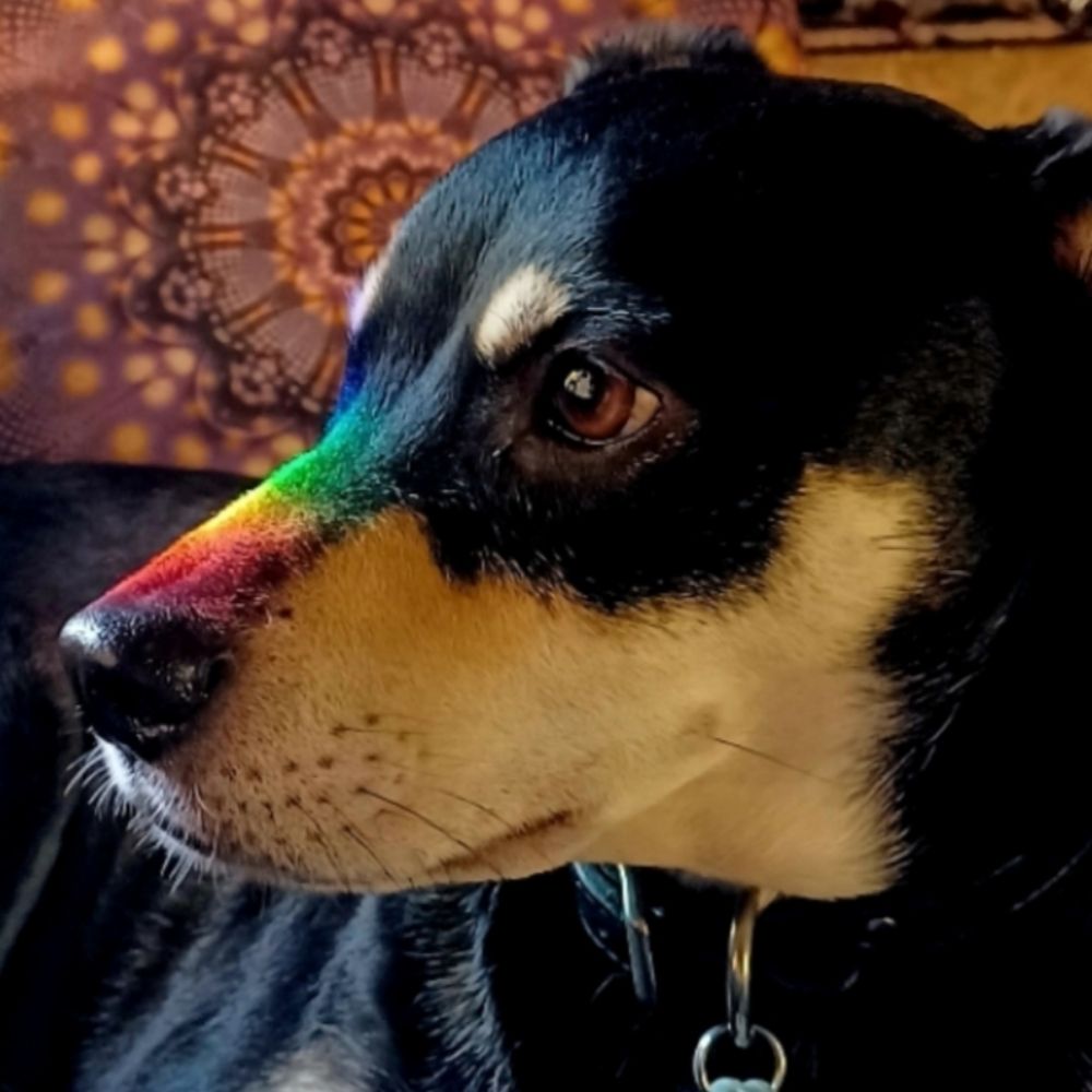 Doc Blackwolf