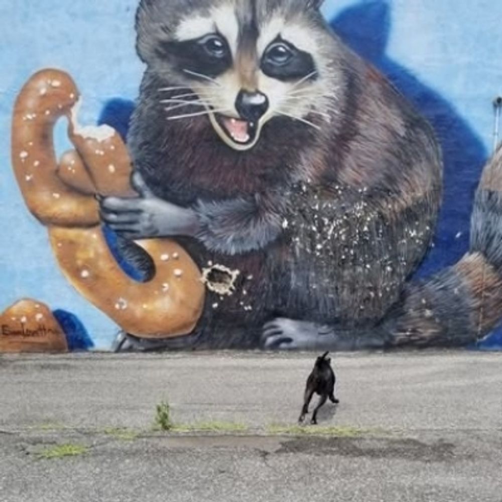 sam