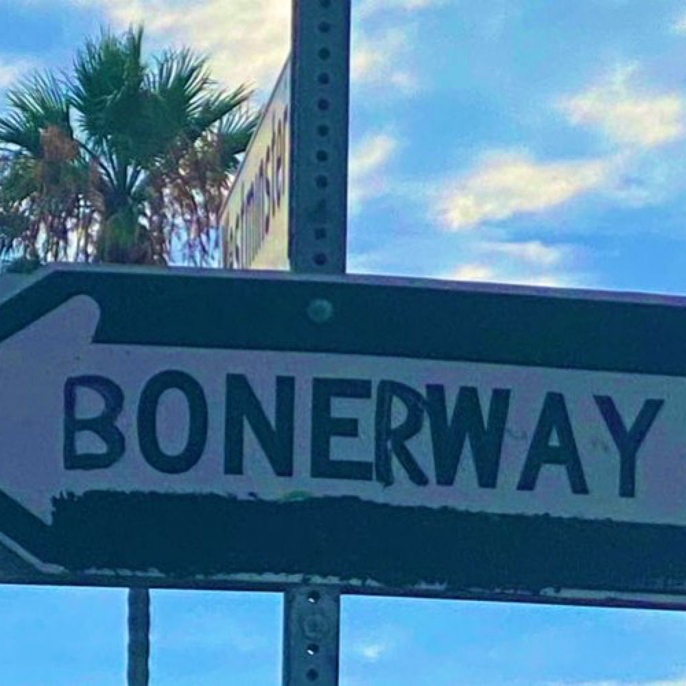 Bonerjams95