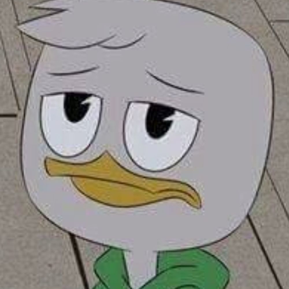Luisinho pato 🟩🦆