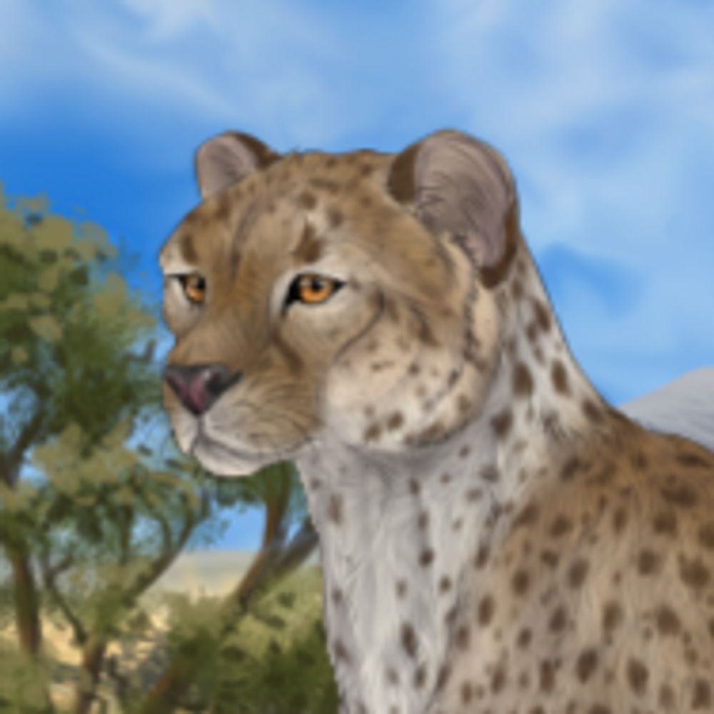 Acinonyx - The Fight For Survival