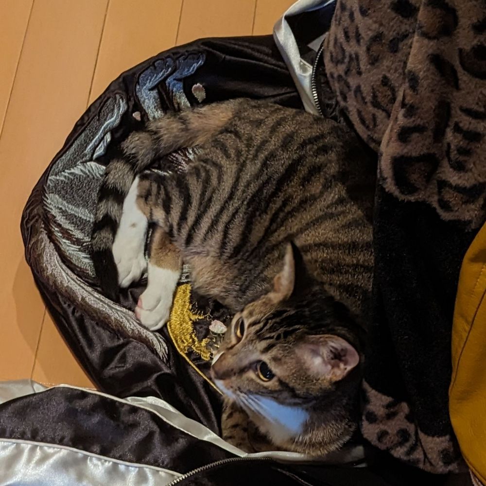 K助