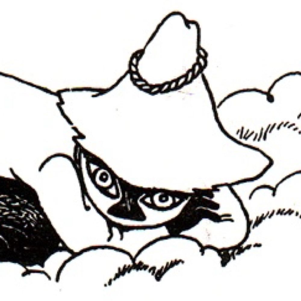 Axo