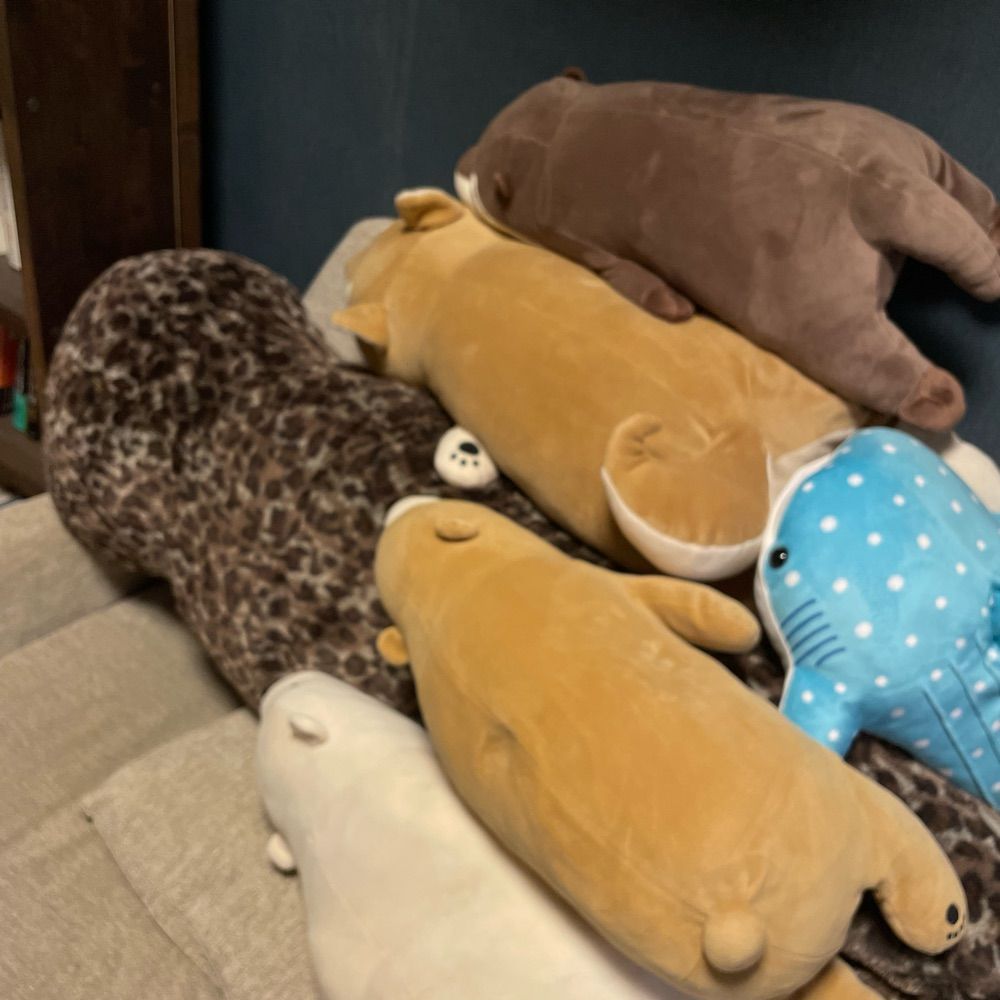 ササミのサシミa.k.aかなでさん
