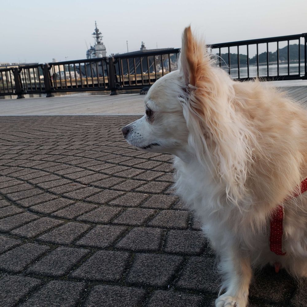 こばやっし～