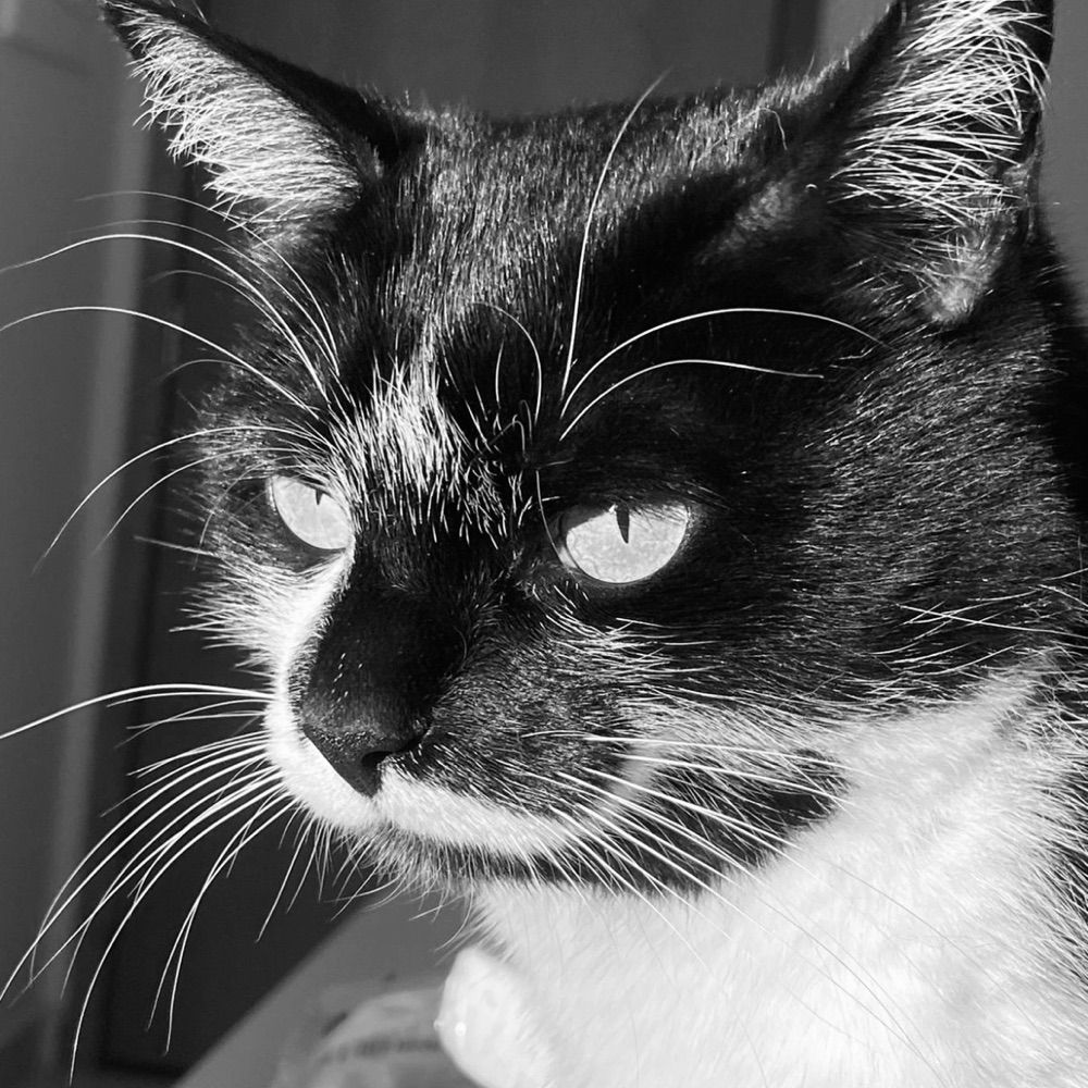 Lua