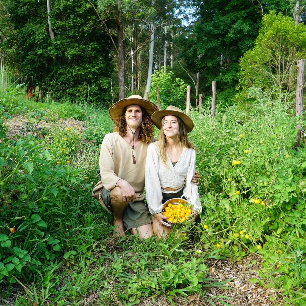 💦 water 🌞 sun 🌱 seed 🌏 soil 