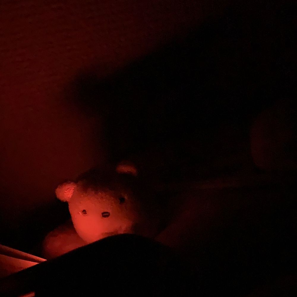 ドムドム