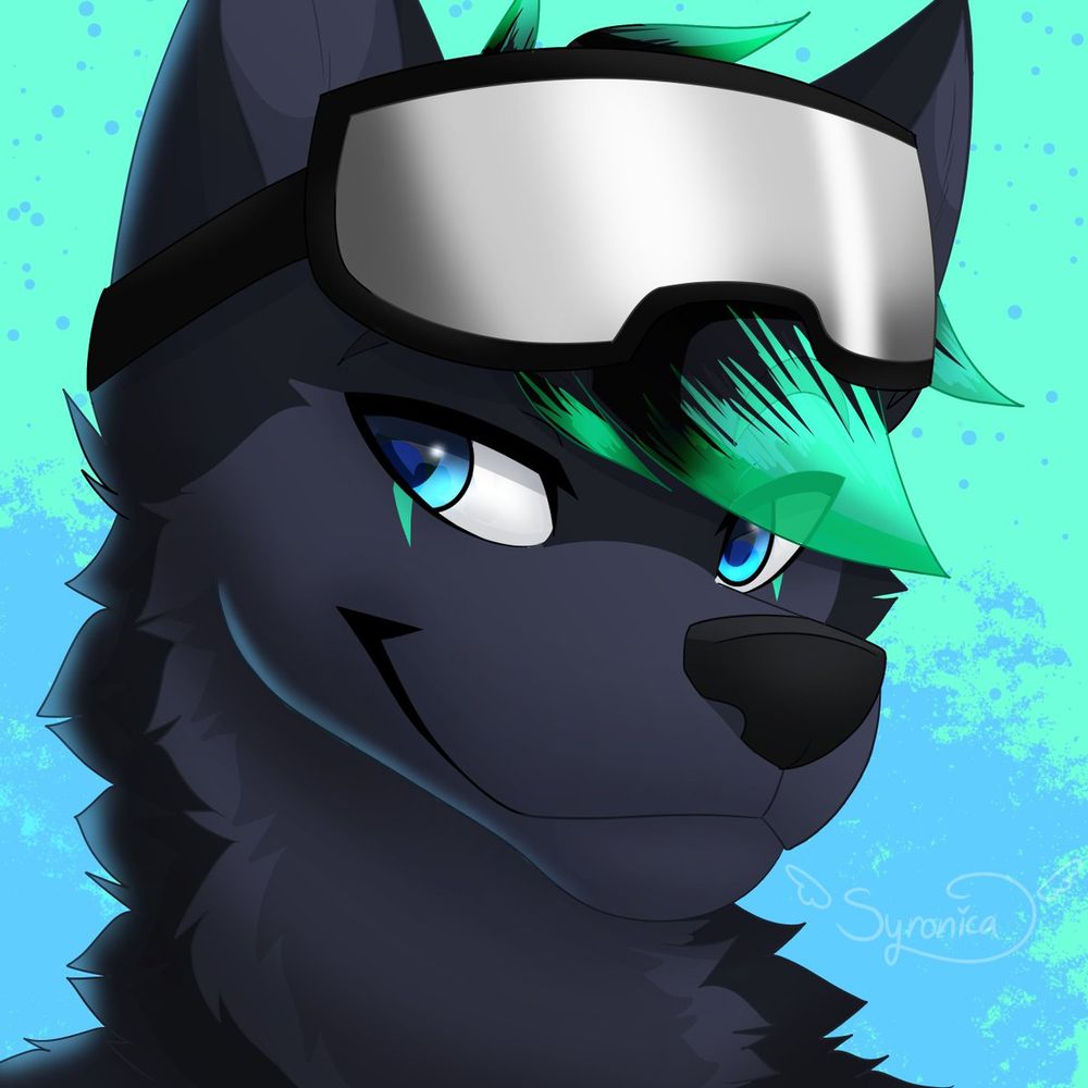 Dash