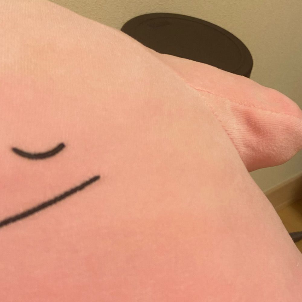 たわし