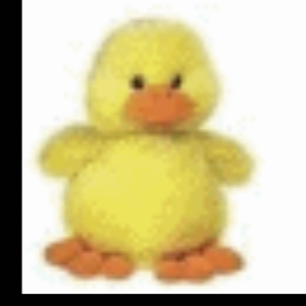 fuzzy_duck101