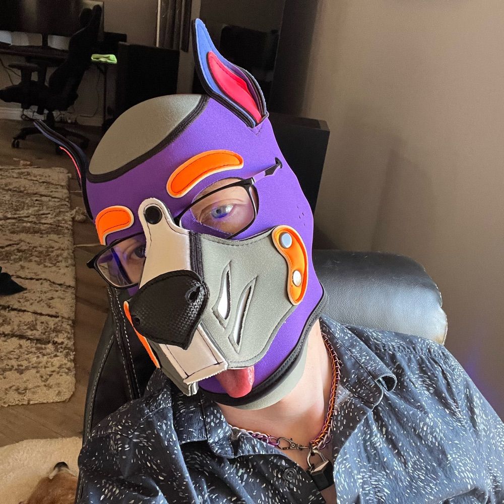 Pup D1zzi