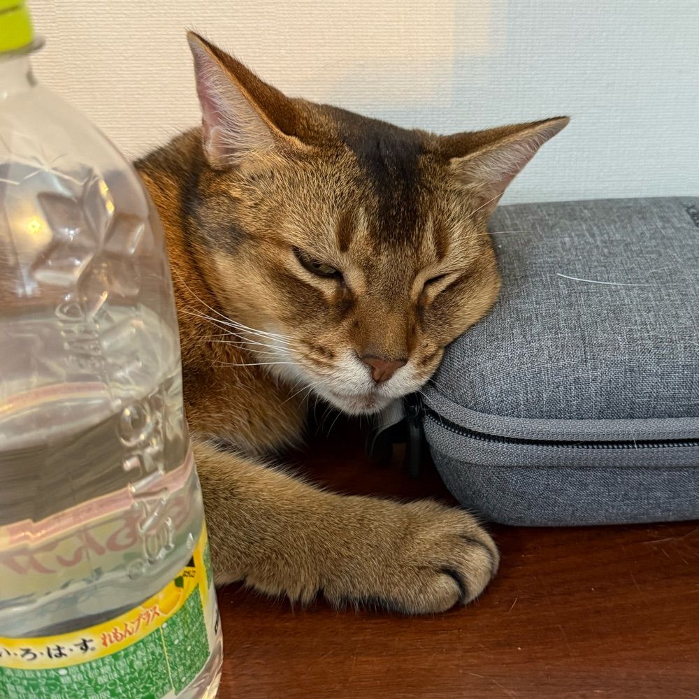 三雲ジョージ