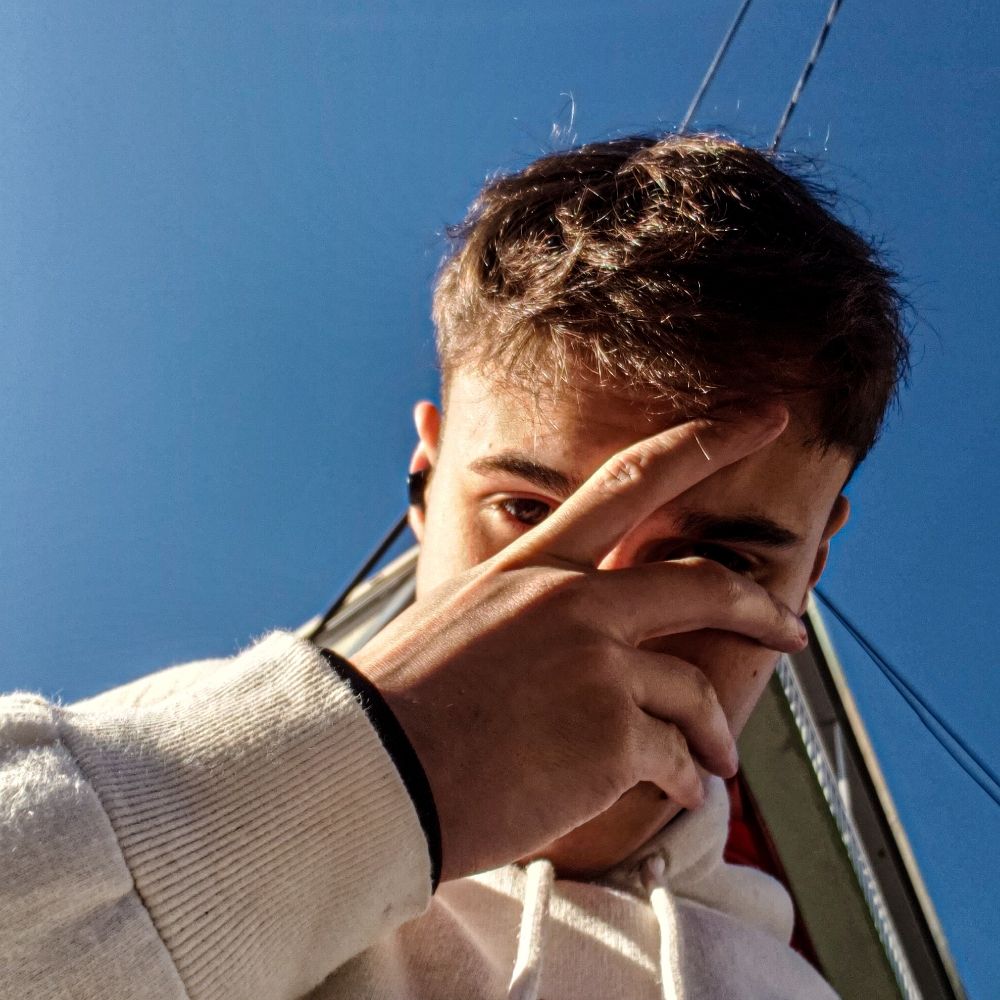 rei do strogonoff 