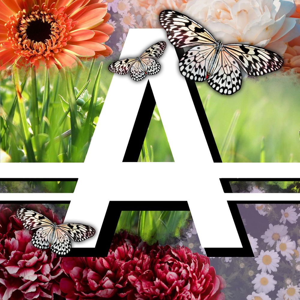 Abnormality - The Garden