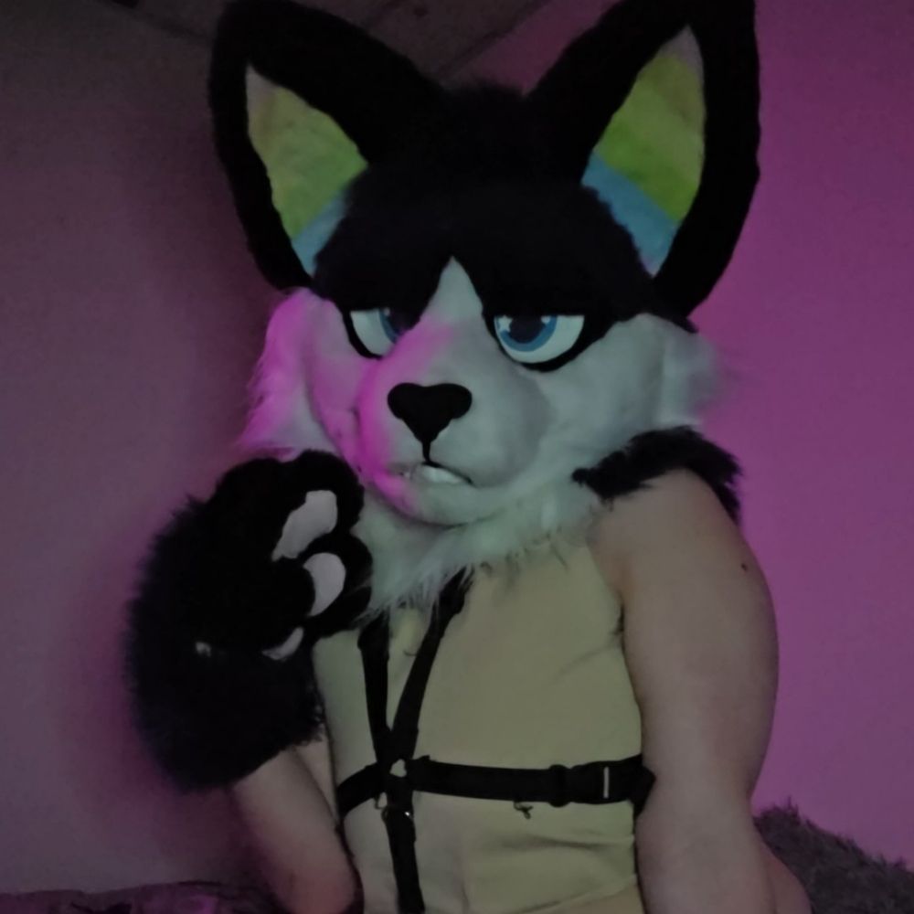 Quinto🔞=>Fureh!