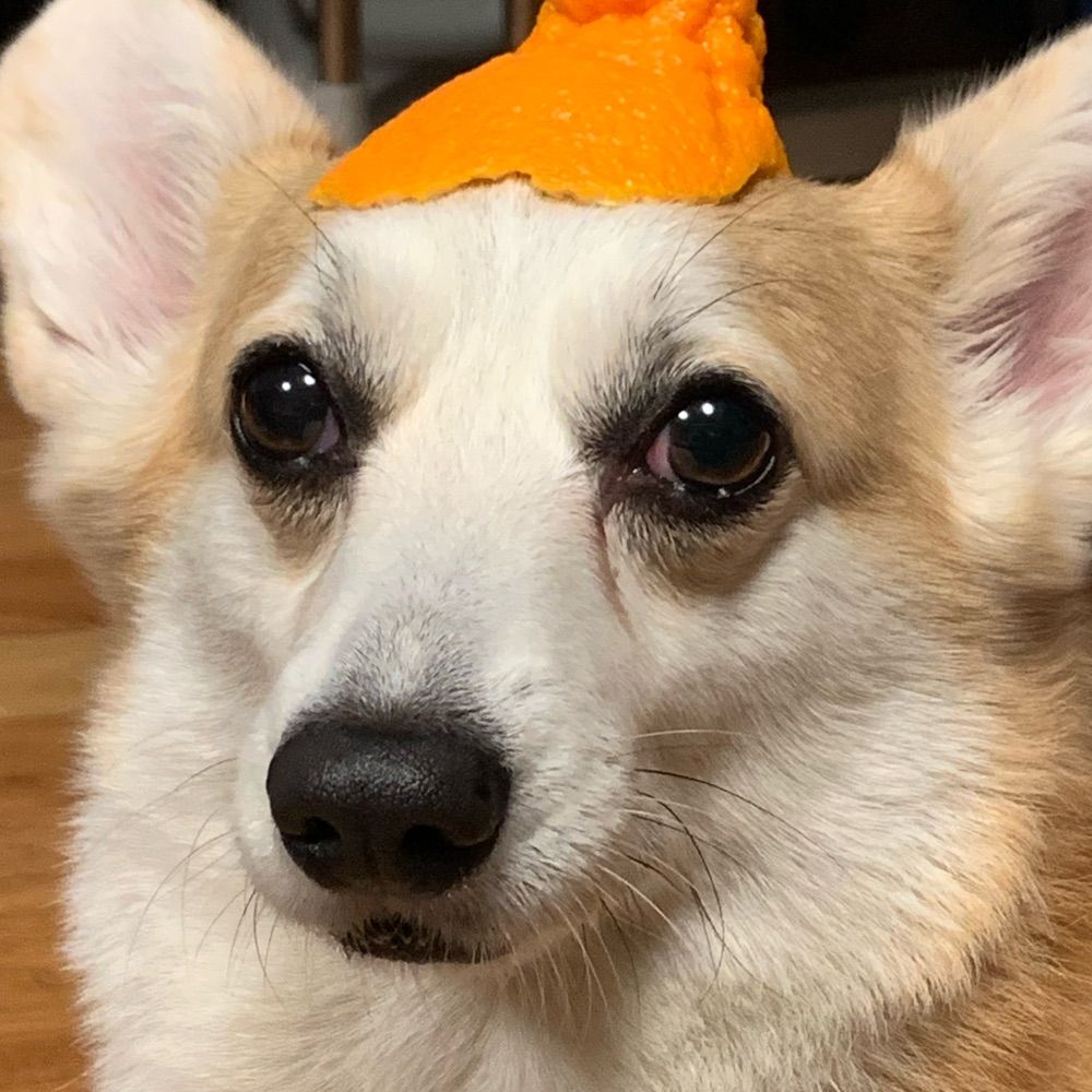 롱