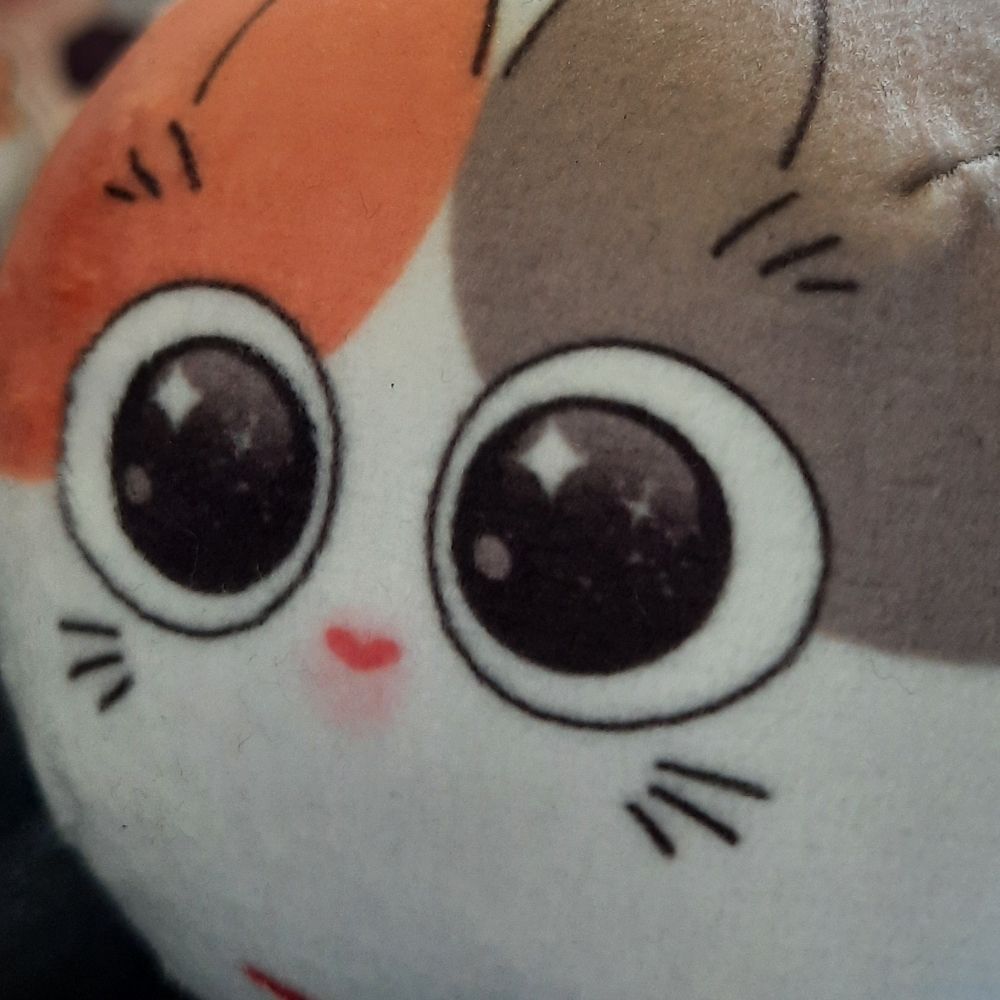 kus