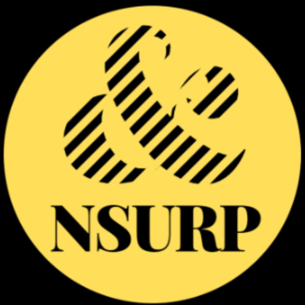 National Summer Undergraduate Research Project