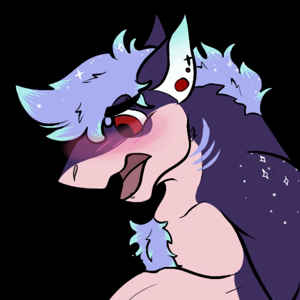 Cass_Shark