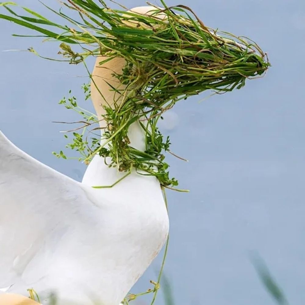 Sarcastic kitty 🐱 🐈 🐾