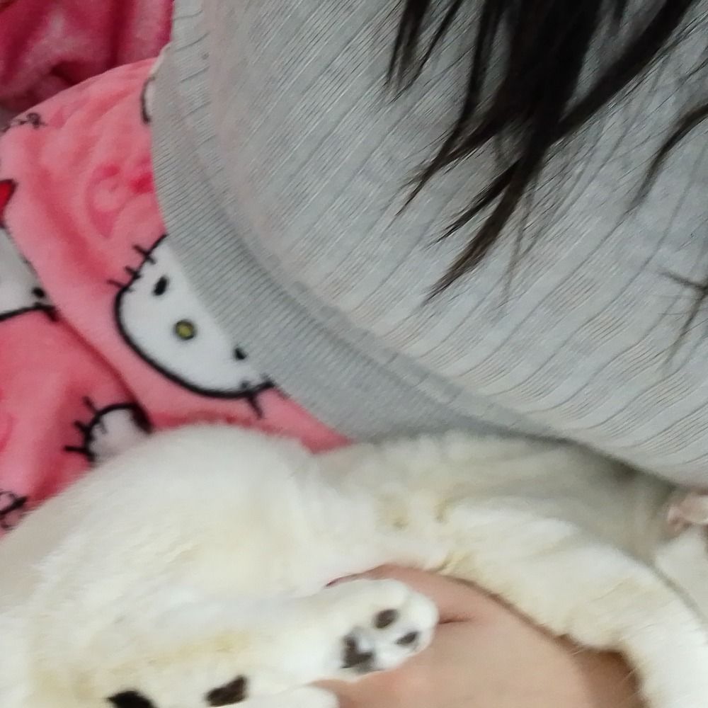 Emy