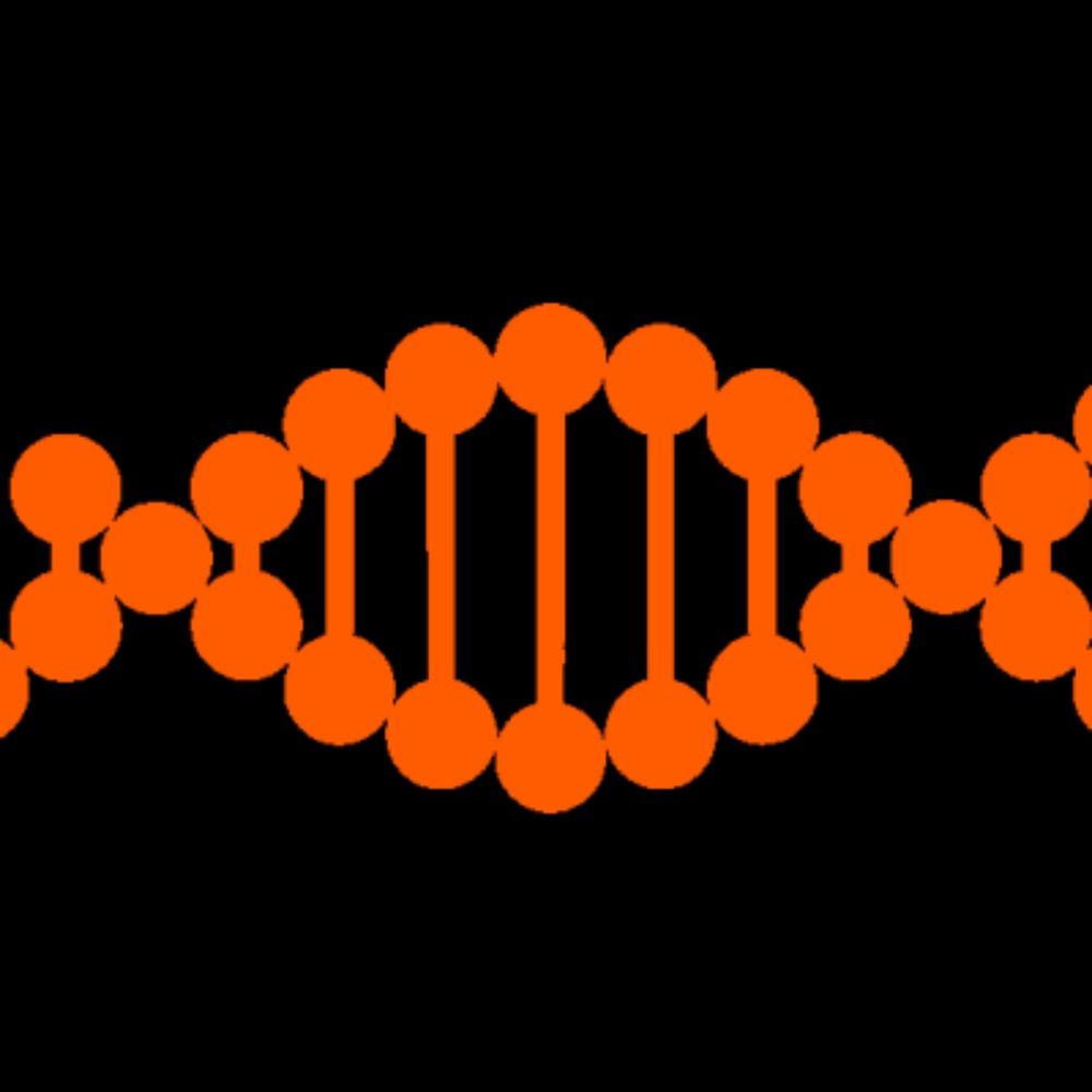 Generación Blogger