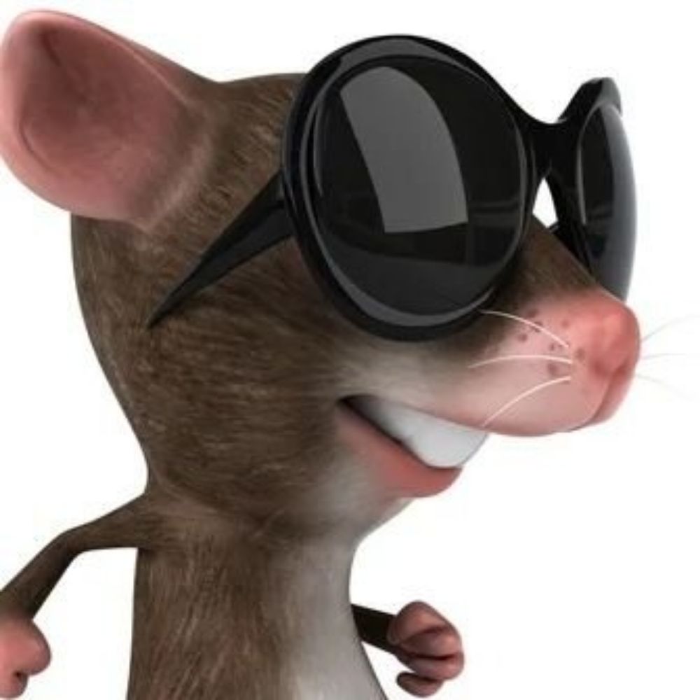 rato de óculos 🇵🇸