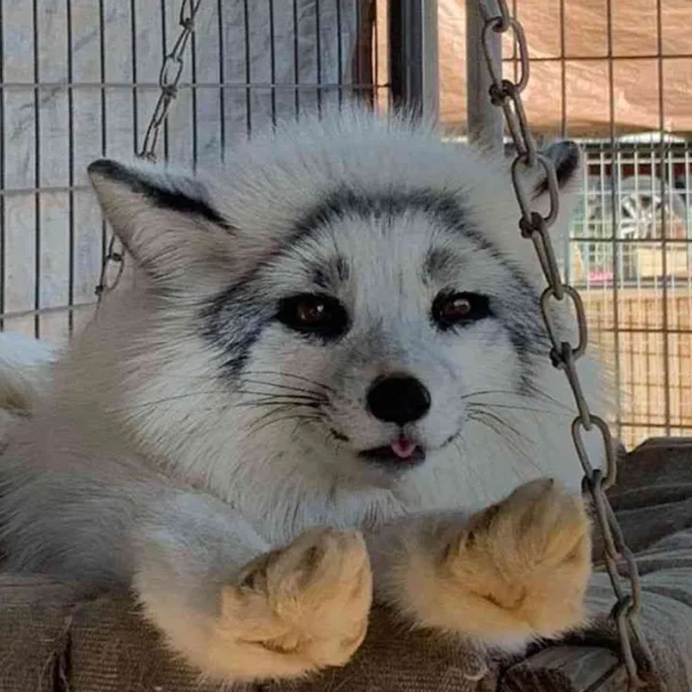 Taeboi!