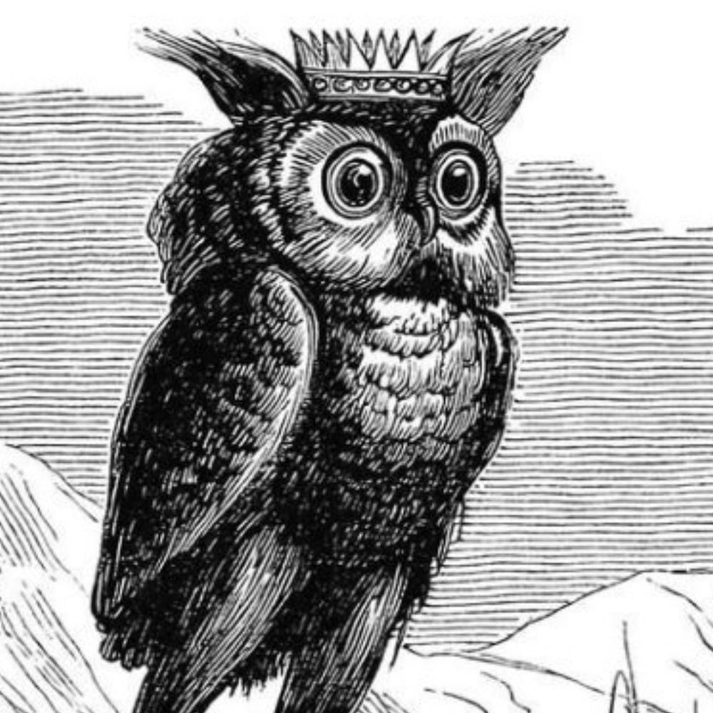 OwlSpotter