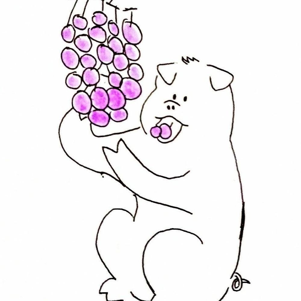 목성돼지