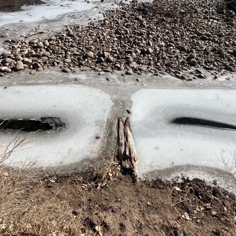 metamorphicmoves.bsky.social