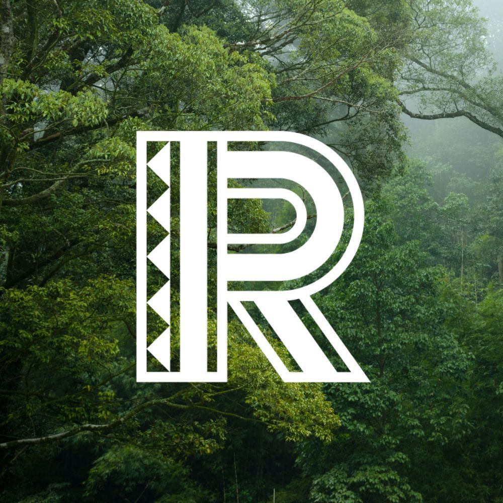 Rainforest Foundation US