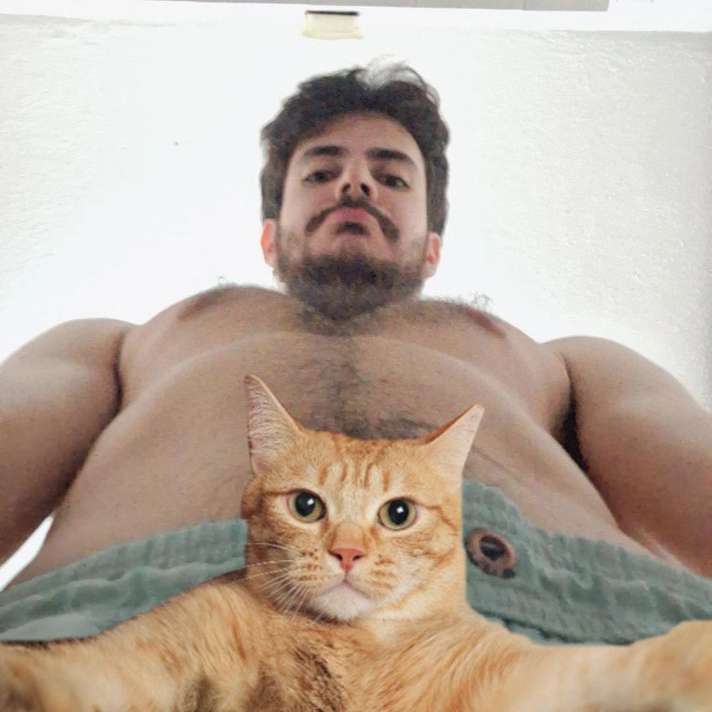 a cachorra da fiona apple