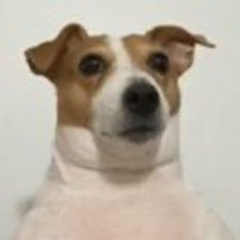 victinho 