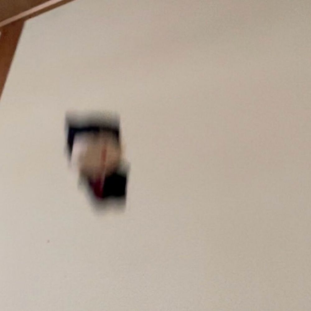 ぺのめの