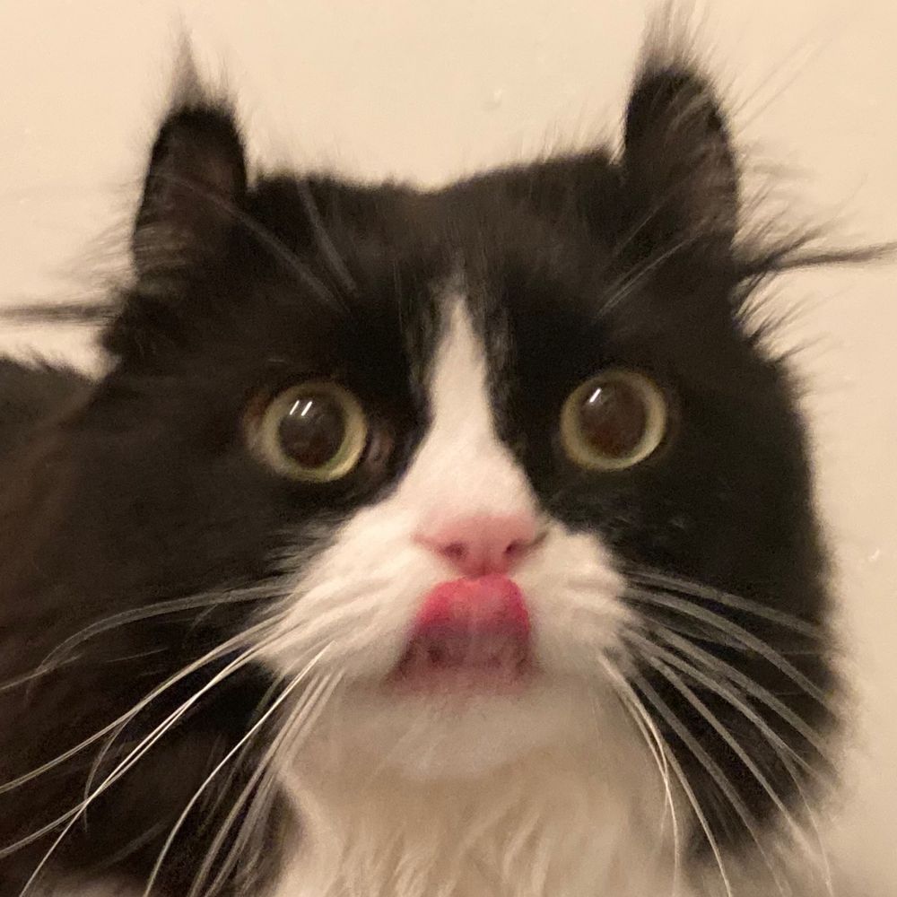 あおいくら