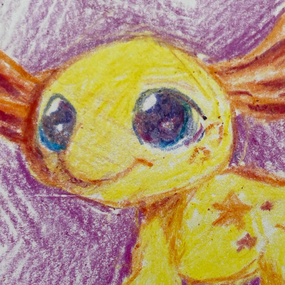 Pip