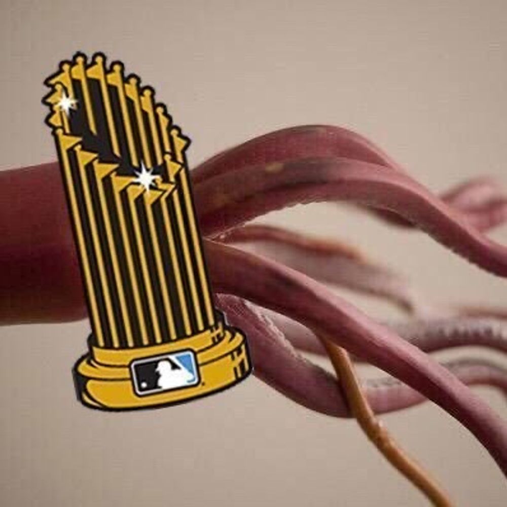 Nats Squid