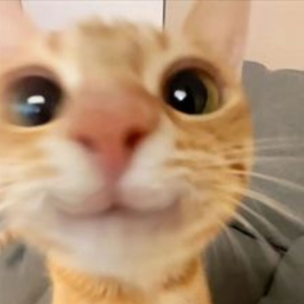 helô